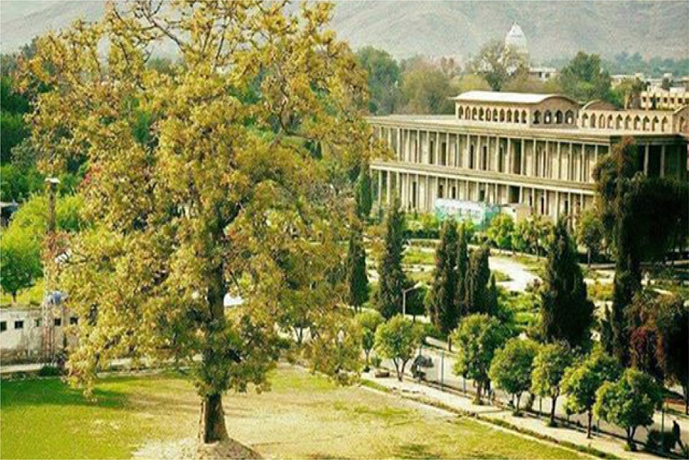 Nangarhar-hamish-bahar (8)